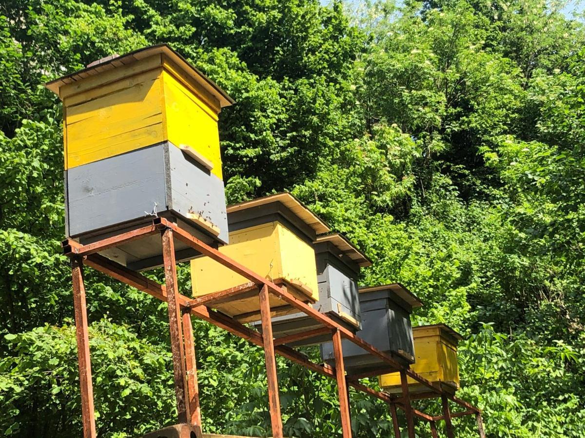 Chalet Kvariati Ngoại thất bức ảnh